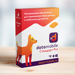 ПО DataMobile, версия Стандарт Pro в Энгельсе